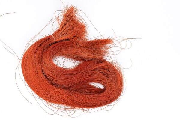 Bundle of Long Shoe Thread